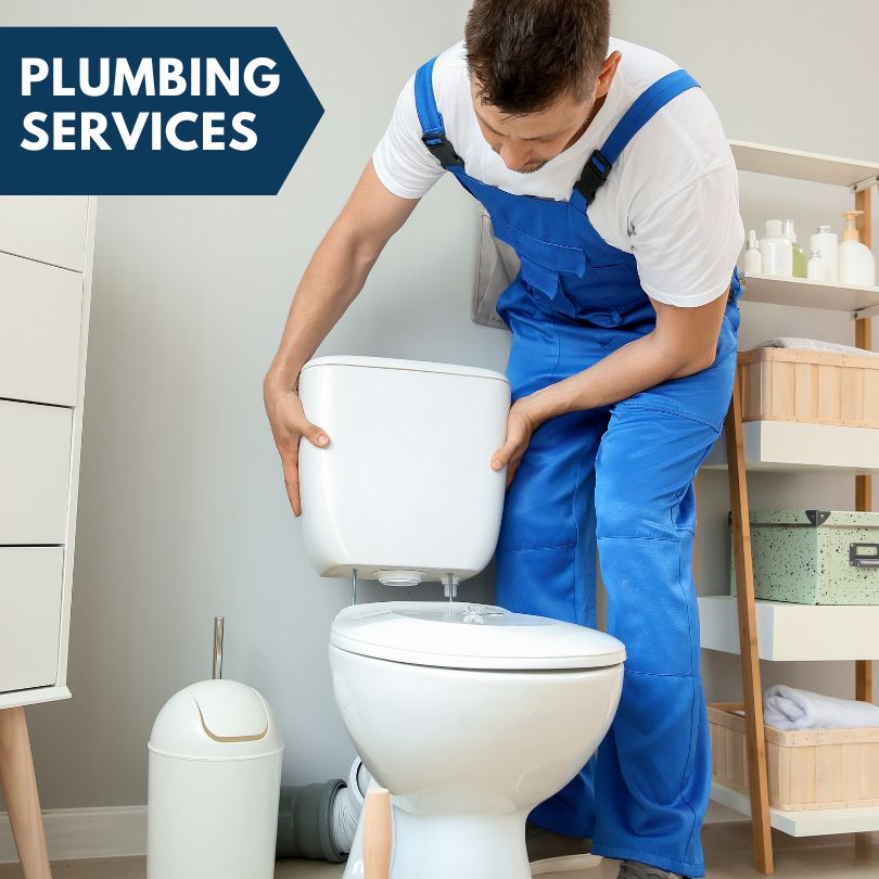 Plumbing Company in Ludowici, GA